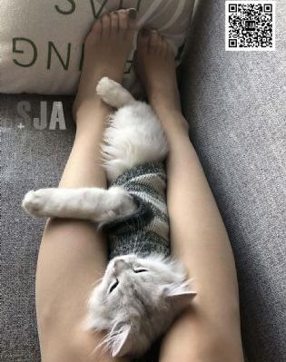 日本免费网
