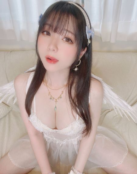 泰迪熊