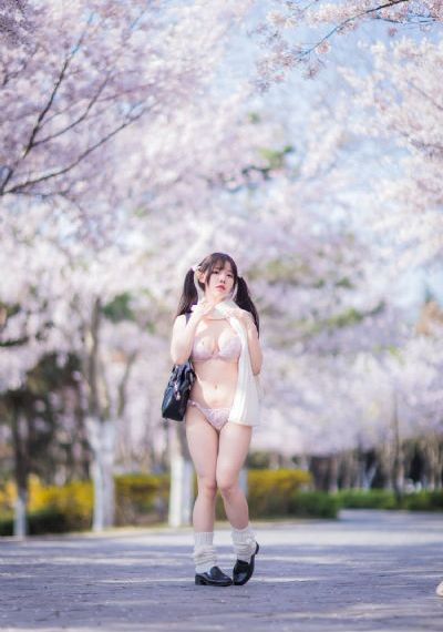 双花镜