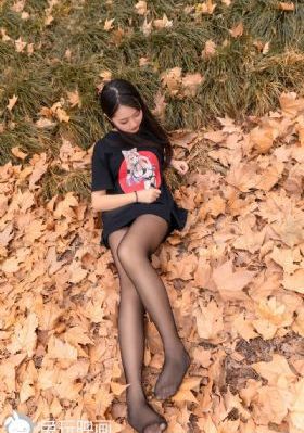 芈月传电视剧全集81免费