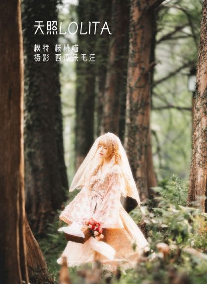 斛珠夫人电视剧免费观看全集