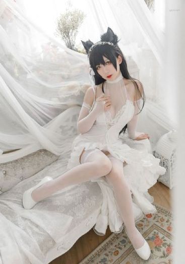 大丈夫电视剧全集免费观看完整版