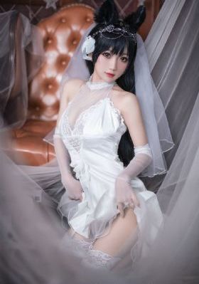 苏家有女1v5苏桐