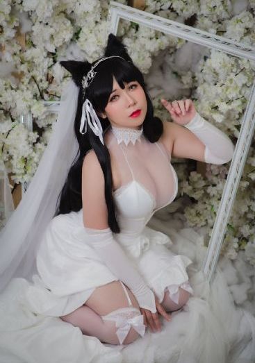 布拉芙夫人免费